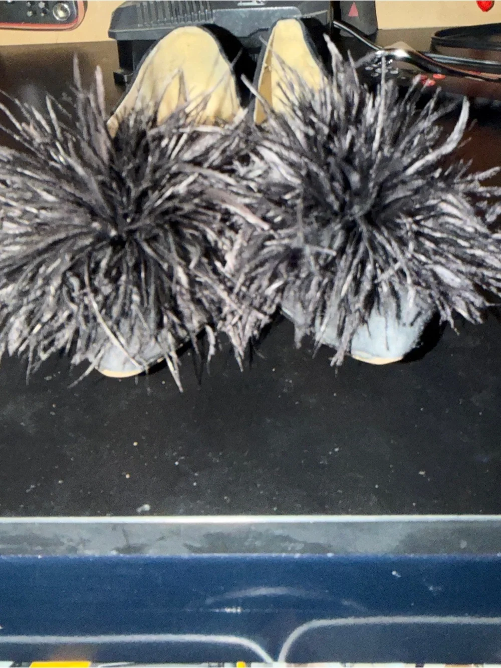 Sam Edelman Black Feather Hazel Pointed Toe Flats Size 7
